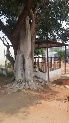 Arulmigu Ullur Vinayagar Temple, Olapalayam, Olapalayam - 638052 அருள்மிகு உள்ளூர் விநாயகர் திருக்கோயில், Olapalayam, ஓலப்பாளையம் - 638052, Erode - Ancient Temple Architecture and History Image 3