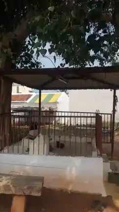 Arulmigu Ullur Vinayagar Temple, Olapalayam, Olapalayam - 638052 அருள்மிகு உள்ளூர் விநாயகர் திருக்கோயில், Olapalayam, ஓலப்பாளையம் - 638052, Erode - Ancient Temple Architecture and History Image 4