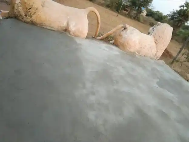 Arulmigu Uma Mageshwari Temple, Kizh Edaiyalam Colony - 604302 அருள்மிகு உமாமகேஸ்வரி, காளியம்மன் திருக்கோயில், Kizh Edaiyalam Colony - 604302, Viluppuram - Ancient Temple Architecture and History Image 3