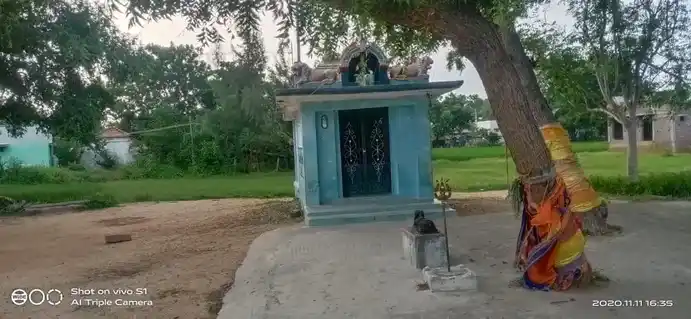 Arulmigu Umaiyanayaki Amman Temple, Sooranam - 630709 Arulmigu Umaiyanayaki Amman Temple, Sooranam - 630709, Sivagangai - Ancient Temple Architecture and History Image 4