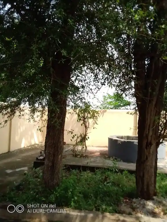 Arulmigu Umamegeshvara Swamy Temple, Umaiyalpuram - 609301 Arulmigu Umamegeshvara Swamy Temple, Umaiyalpuram - 609301, Mayiladuthurai - Ancient Temple Architecture and History Image 2