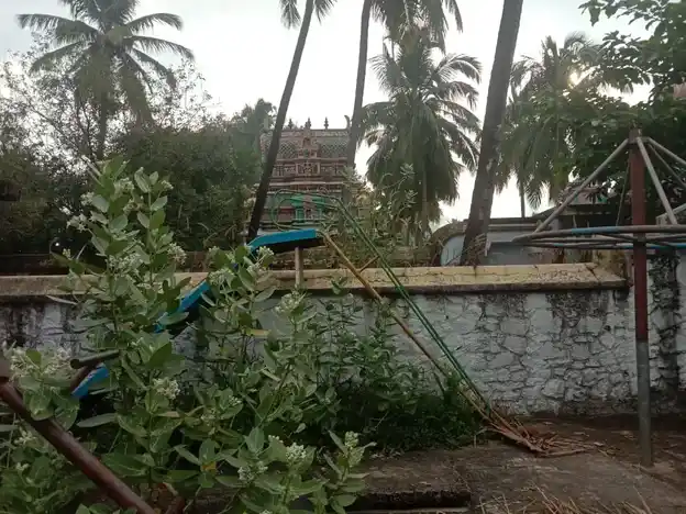 Arulmigu Umayeeswaramudaiya Nainar Temple, Thuvarankadu, Boothapandi - 629852 Arulmigu Umayeeswaramudaiya Nainar Temple, Thuvarankadu, Boothapandi - 629852, Kanyakumari - Ancient Temple Architecture and History Image 4