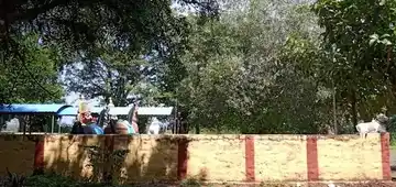 Arulmigu Unjaladi Pattappasamy Thirukoil, P.Mettupalayam - 638315 அருள்மிகு ஊஞ்சலாடிபாட்டப்பசாமி திருக்கோயில், P.Mettupalayam - 638315, Erode - Ancient Temple Architecture and History Image 4