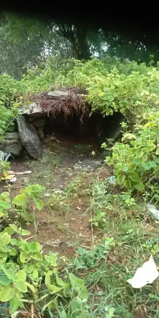 Arulmigu Unnamalaiyamman Temple, Aalanur - 606401 அருள்மிகு உண்ணாமலையம்மன் திருக்கோயில், Aalanur - 606401, Kallakurichi - Ancient Temple Architecture and History Image 5