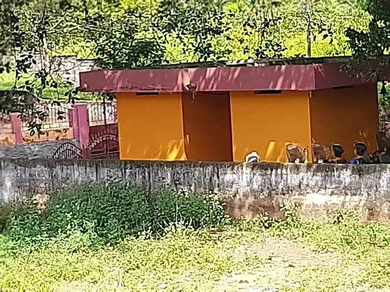 Arulmigu Uramman Temple, Painkulam, Puthukadai - 629171 அருள்மிகு ஊரம்மன் திருக்கோயில், Painkulam, Puthukadai - 629171, Kanyakumari - Ancient Temple Architecture and History Image 4