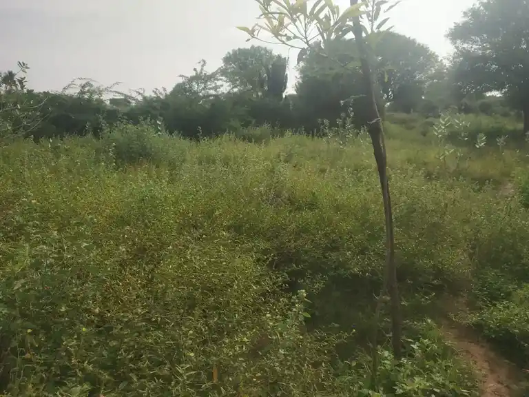 Arulmigu Uresuthian Temple, T. Kalathur - 621114 Temple