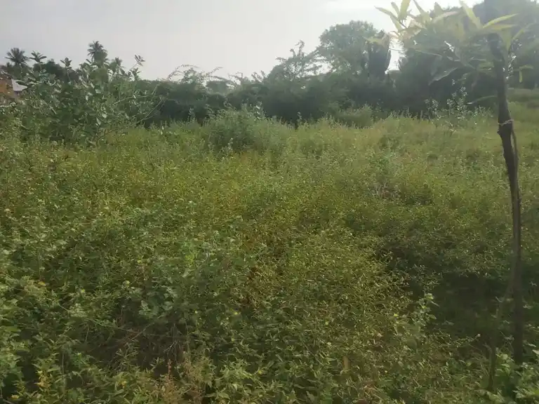 Arulmigu Uresuthian Temple, T. Kalathur - 621114 Arulmigu Uresuthian Temple, T. Kalathur - 621114, Perambalur - Ancient Temple Architecture and History Image 3