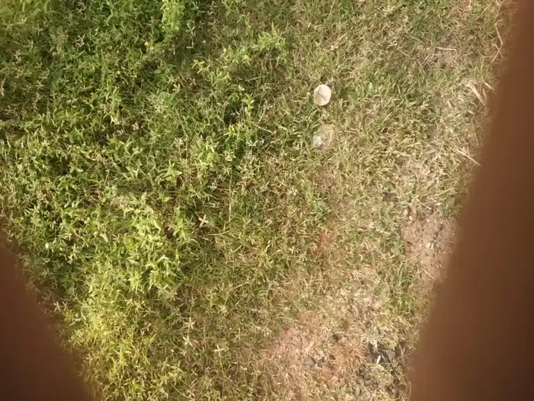 Arulmigu Uresuthian Temple, T. Kalathur - 621114 Arulmigu Uresuthian Temple, T. Kalathur - 621114, Perambalur - Ancient Temple Architecture and History Image 4