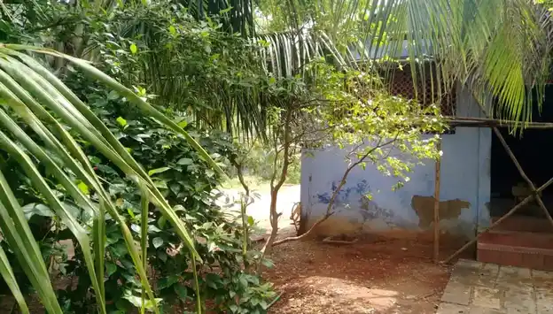 Arulmigu Uthama Pandi Temple, Panakudi - 627109 Arulmigu Uthama Pandi Temple, Panakudi - 627109, Tirunelveli - Ancient Temple Architecture and History Image 3