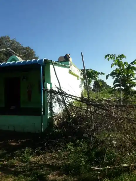 Arulmigu Uthamakaragam Temple, Denkanikottai - 635107 அருள்மிகு உத்தமகரகம் திருக்கோயில், Denkanikottai - 635107, Krishnagiri - Ancient Temple Architecture and History Image 2