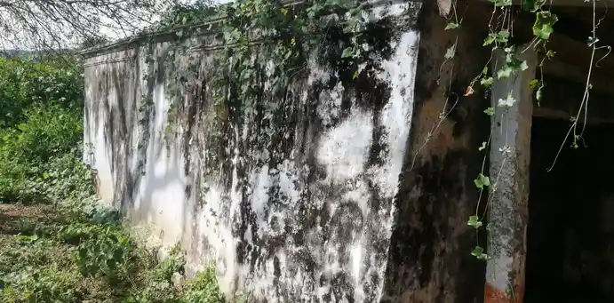 Arulmigu Uthamakaragam Temple, Nachchikuppam - 635121 அருள்மிகு உத்தம கரககம் திருக்கோயில், Nachchikuppam - 635121, Krishnagiri - Ancient Temple Architecture and History Image 3