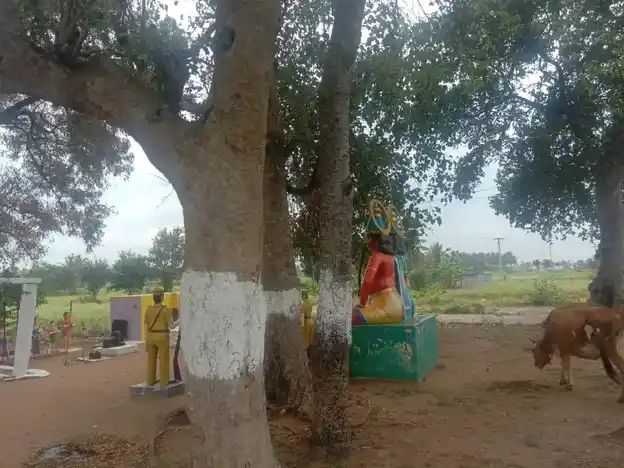 Arulmigu Uthandi Sellandiamman Temple, Dharapuram, Kadaiyampatty, Dharapuram - 636455 அருள்மிகு உத்தண்டி செல்லாண்டியம்மன் திருக்கோயில், தாராபுரம், காடையாம்பட்டி, தாராபுரம் - 636455, Salem - Ancient Temple Architecture and History Image 3