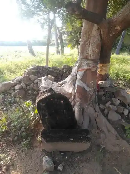 Arulmigu Uthrakaliamman Temple, Dhali, Thenaikullam - 642112