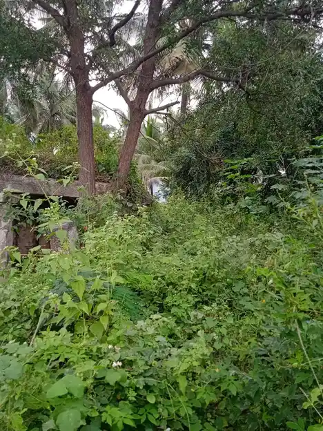 Arulmigu Uttamakaragam Kandamarugu Devathai Temple, Periyanur - 636812