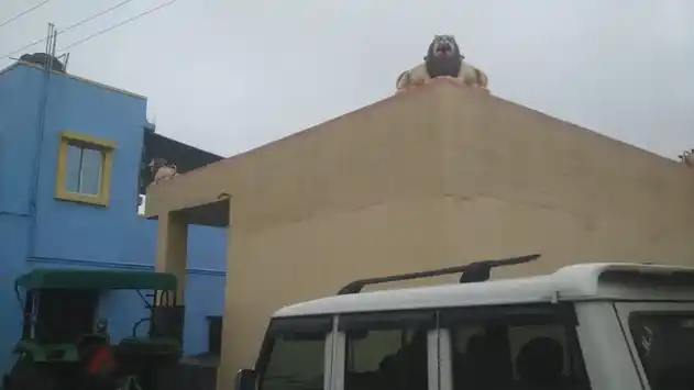 Arulmigu Uttamakaragam Temple, Thorapalliagraharam - 635130 Arulmigu Uttamakaragam Temple, Thorapalliagraharam - 635130, Krishnagiri - Ancient Temple Architecture and History Image 3