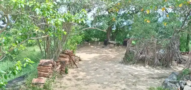 Arulmigu Uuchinimahaliamman Temple, Packiyaneri, Boothapandi - 629852