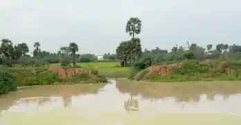 Arulmigu Vaala Vanthamman &Vinayagar Temple, Kulavipatti - 623707
