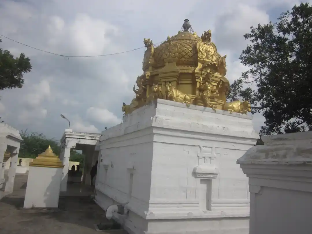 Arulmigu Vaaleeswarar Temple, Saathanoor - 606205 அருள்மிகு வாலீஸ்வரர், வரதராஜப்பெருமாள் திருக்கோயில், Saathanoor - 606205, Kallakurichi - Ancient Temple Architecture and History Image 6