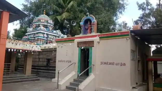 Arulmigu Vaalmigeeswarar Temple, Melvizharam - 632509 அருள்மிகு வால்மீகீஸ்வரர் திருக்கோயில், மேல்விஷாரம் - 632509, Ranipet - Ancient Temple Architecture and History Image 3