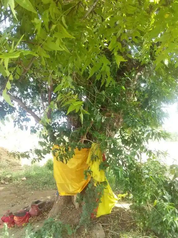 Arulmigu Vadakathi Amman Temple, Vellanakottai - 627758
