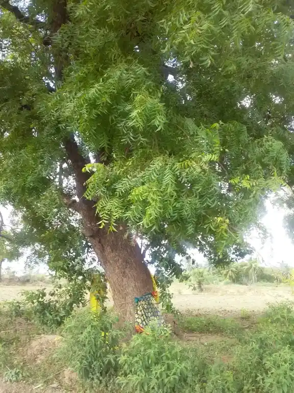 Arulmigu Vadakathi Amman Temple, Vellanakottai - 627758 அருள்மிகு வடக்கத்தியம்மன் திருக்கோயில், Vellanakottai - 627758, Tenkasi - Ancient Temple Architecture and History Image 5