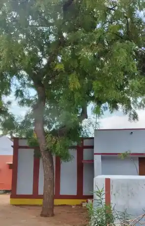 Arulmigu Vadakkuva Selliamman Temple, Ambalacherry, - 628701 அருள்மிகு வடக்குவாச் செல்வியம்மன் திருக்கோயில், Ambalacherry, - 628701, Thoothukudi - Ancient Temple Architecture and History Image 4