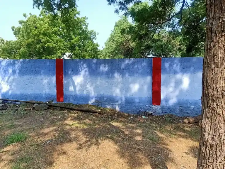 Arulmigu Vadakkuva Selliamman Temple, Pasuvandanai - 628401 அருள்மிகு வடக்குவாச் செல்வியம்மன் திருக்கோயில், Pasuvandanai - 628401, Thoothukudi - Ancient Temple Architecture and History Image 3