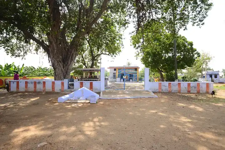 Arulmigu Vadakkuva Selviamman Temple, Narasinga Nallur - 627604