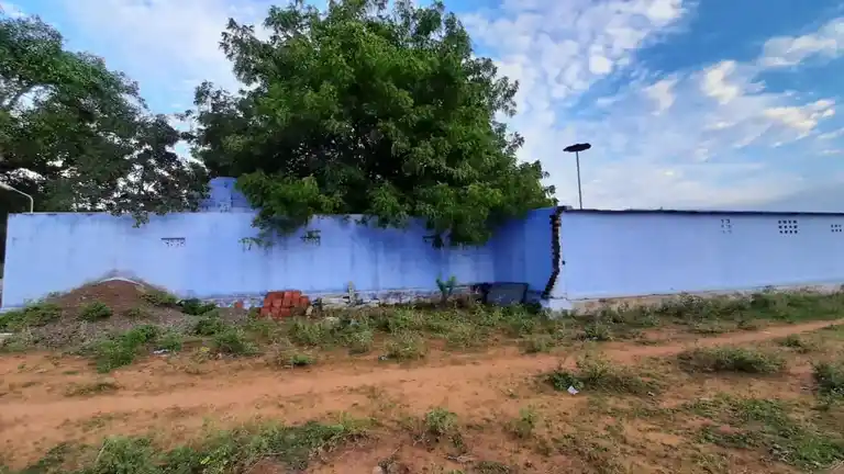 Arulmigu Vadakkuva Selviamman Temple, Pappakudi - 627602 அருள்மிகு வடக்குவாச் செல்வி அம்மன் திருக்கோயில், Pappakudi - 627602, Tirunelveli - Ancient Temple Architecture and History Image 2