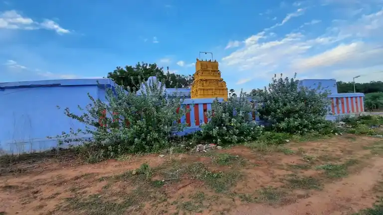 Arulmigu Vadakkuva Selviamman Temple, Pappakudi - 627602 அருள்மிகு வடக்குவாச் செல்வி அம்மன் திருக்கோயில், Pappakudi - 627602, Tirunelveli - Ancient Temple Architecture and History Image 3