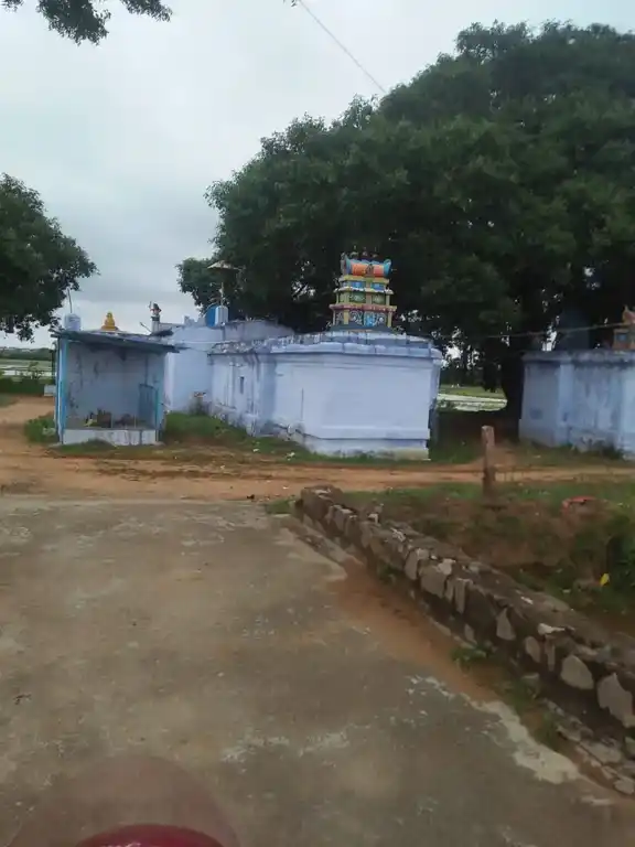 Arulmigu Vadakkuva Selviamman Temple, Village North West Side, Templekulam - 627413 அருள்மிகு வடக்குவாச் செல்வி அம்மன் திருக்கோயில், Village North West Side, Templekulam - 627413, Tirunelveli - Ancient Temple Architecture and History Image 3