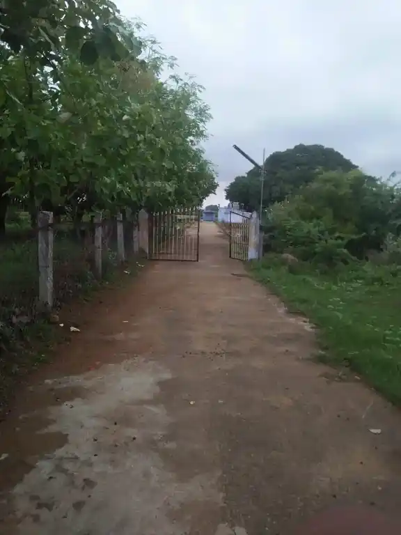 Arulmigu Vadakkuva Selviamman Temple, Village North West Side, Templekulam - 627413 அருள்மிகு வடக்குவாச் செல்வி அம்மன் திருக்கோயில், Village North West Side, Templekulam - 627413, Tirunelveli - Ancient Temple Architecture and History Image 4