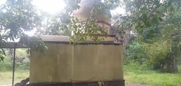 Arulmigu Vadakkuvachelliamman Temple, Thirunainarkurichi - 629174