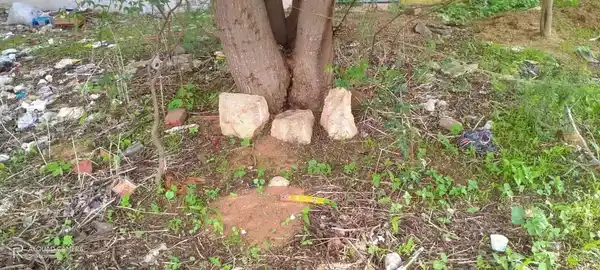 Arulmigu Vadakkuvachselliamman Temple, South, Kulathur - 628903 அருள்மிகு வடக்குவாச்செல்லியம்மன் திருக்கோயில், South, Kulathur - 628903, Thoothukudi - Ancient Temple Architecture and History Image 2