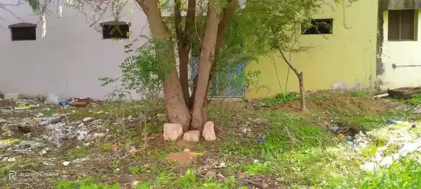 Arulmigu Vadakkuvachselliamman Temple, South, Kulathur - 628903 அருள்மிகு வடக்குவாச்செல்லியம்மன் திருக்கோயில், South, Kulathur - 628903, Thoothukudi - Ancient Temple Architecture and History Image 4