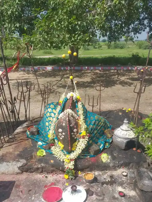 Arulmigu Vadakkuvasal Chellayiamman Temple, Goundanpatti - 625703 அருள்மிகு வடக்குவாசல் செல்லாயிஅம்மன் திருக்கோவில், Goundanpatti - 625703, Madurai - Ancient Temple Architecture and History Image 2