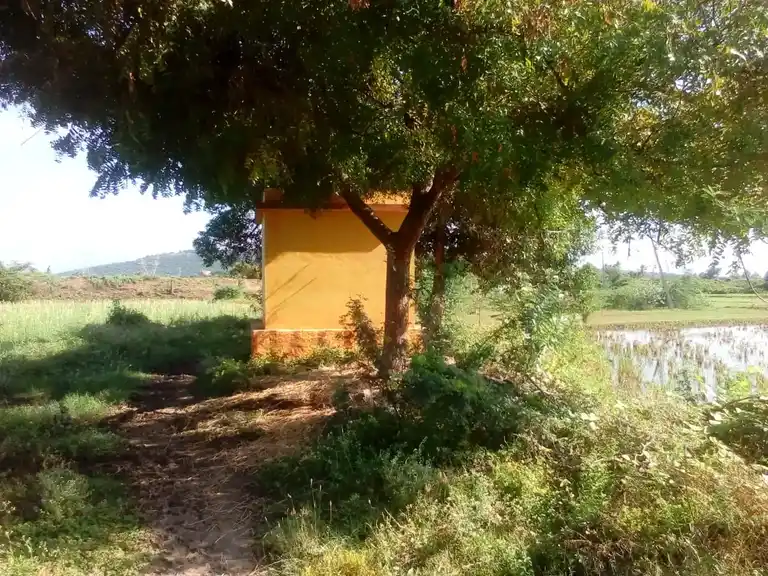 Arulmigu Vadakkuvasal Sellayi Amman Temple, Nadumuthalaikulam - 625514 அருள்மிகு வடக்கு வாயில் செல்லாயி அம்மன் திருக்கோயில், Nadumuthalaikulam - 625514, Madurai - Ancient Temple Architecture and History Image 2