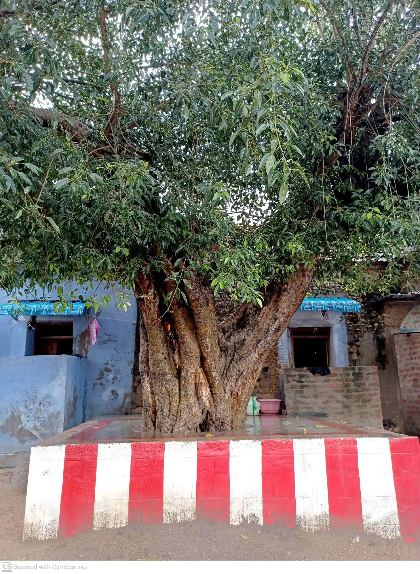 Arulmigu Vadakkuvatchi Selli Amman Temple, Jegaveerapuram - 628907 அருள்மிகு வடக்குவாச் செல்வியம்மன் திருக்கோயில், Jegaveerapuram - 628907, Thoothukudi - Ancient Temple Architecture and History Image 2