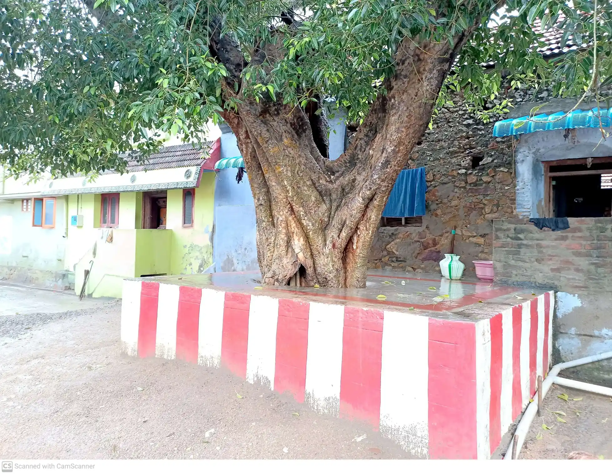 Arulmigu Vadakkuvatchi Selli Amman Temple, Jegaveerapuram - 628907 அருள்மிகு வடக்குவாச் செல்வியம்மன் திருக்கோயில், Jegaveerapuram - 628907, Thoothukudi - Ancient Temple Architecture and History Image 3