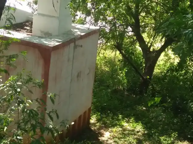 Arulmigu Vadakulam Ayyanar Temple, K.Puliankulam - 625514