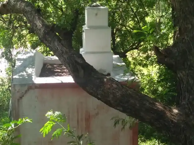 Arulmigu Vadakulam Ayyanar Temple, K.Puliankulam - 625514 அருள்மிகு வடக்குளம் அய்யனார் கோயில், K.Puliankulam - 625514, Madurai - Ancient Temple Architecture and History Image 2