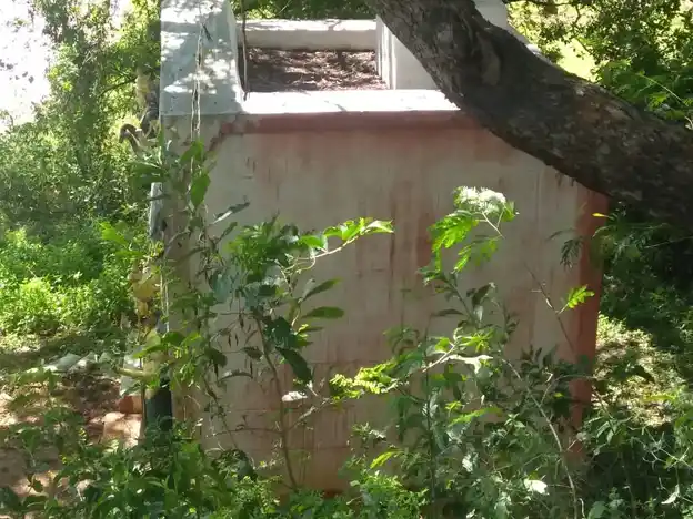 Arulmigu Vadakulam Ayyanar Temple, K.Puliankulam - 625514 அருள்மிகு வடக்குளம் அய்யனார் கோயில், K.Puliankulam - 625514, Madurai - Ancient Temple Architecture and History Image 4
