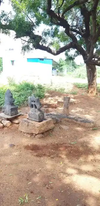 Arulmigu Vadakuvasal Selayeeamman Temple, Kinnimangalam - 625514 அருள்மிகு வடக்கு வாசல் செல்லாயி அம்மன் திருக்கோயில், Kinnimangalam - 625514, Madurai - Ancient Temple Architecture and History Image 2