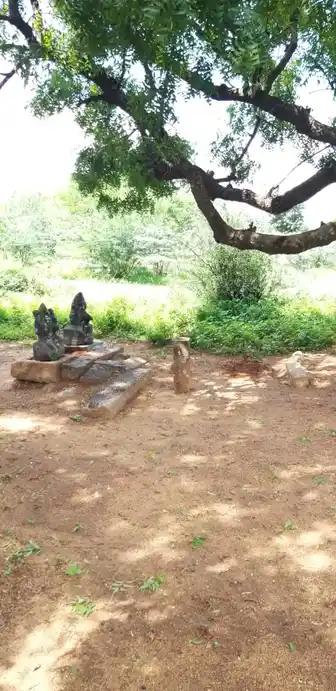 Arulmigu Vadakuvasal Selayeeamman Temple, Kinnimangalam - 625514 அருள்மிகு வடக்கு வாசல் செல்லாயி அம்மன் திருக்கோயில், Kinnimangalam - 625514, Madurai - Ancient Temple Architecture and History Image 3