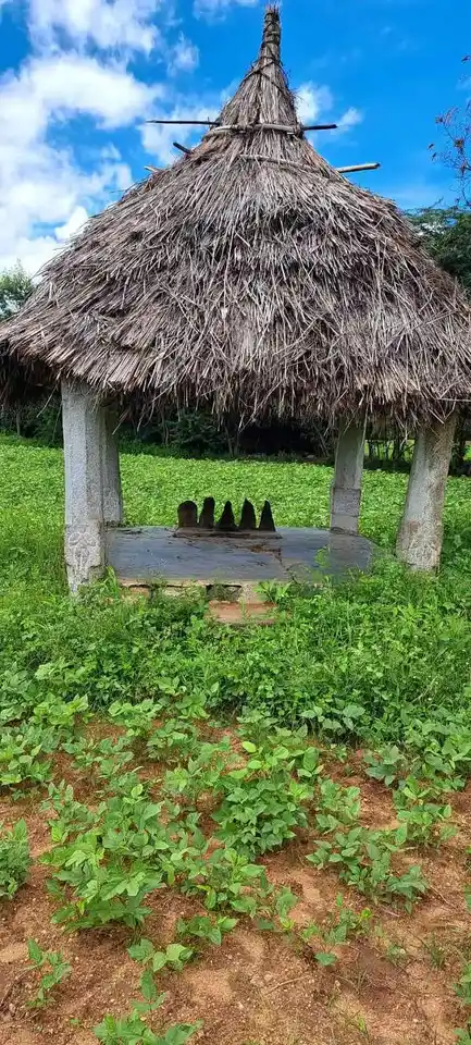 Arulmigu Vadavakkammaal Malai Temple, Perumpulli - 624802