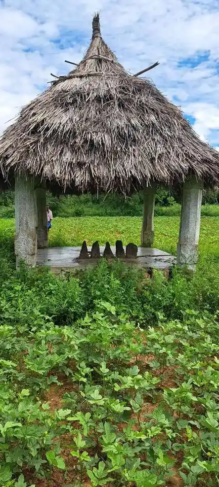 Arulmigu Vadavakkammaal Malai Temple, Perumpulli - 624802 அருள்மிகு வடவக்கம்மாள் மாலைக்கோயில். பெரும்புள்ளி, வேடசந்தூர் வட்டம் கோயில், Perumpulli - 624802, Dindigul - Ancient Temple Architecture and History Image 4