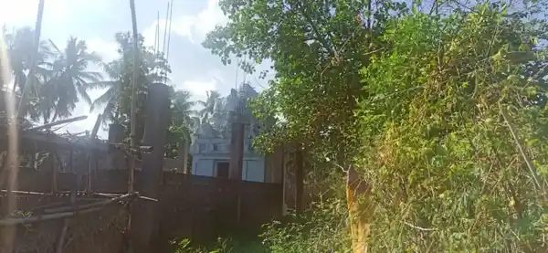 Arulmigu Vadivahzhaki Temple, Veppathaankudi - 610102 அருள்மிகு வடிவழகியம்மன் திருக்கோயில், Veppathaankudi - 610102, Thiruvarur - Ancient Temple Architecture and History Image 3