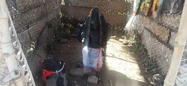 Arulmigu Vadivahzhaki Temple, Veppathaankudi - 610102 அருள்மிகு வடிவழகியம்மன் திருக்கோயில், Veppathaankudi - 610102, Thiruvarur - Ancient Temple Architecture and History Image 5