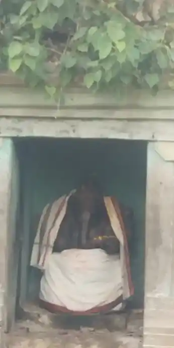 Arulmigu Vadivalagiyamman Temple, Kattukurichi, Papanasam - 614301 அருள்மிகு வடிவழகியம்மன் திருக்கோயில், காட்டுகுறிச்சி, பாபநாசம் - 614301, Thanjavur - Ancient Temple Architecture and History Image 3