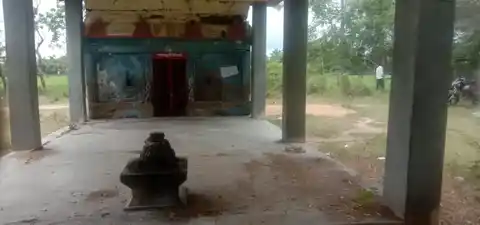 Arulmigu Vadivalahiyamman Varadharajaperumal Mariyamman Selvavinayagar Temple, Manakkal - 612701 அருள்மிகு வடிவழகியம்மன், வரதராஜப்பெருமாள், மாரியம்மன், செல்வவிநாயகர் திருக்கோயில், Manakkal - 612701, Thiruvarur - Ancient Temple Architecture and History Image 5